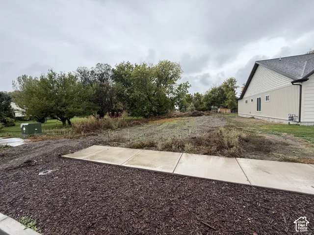 Expansive lot featuring concrete hardscaping, mature trees, and vinyl siding exterior