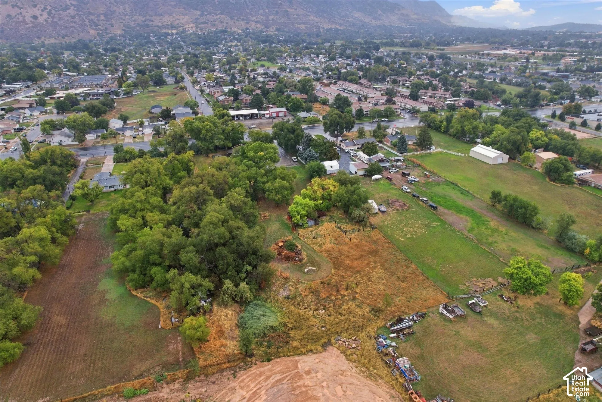 Expansive lot featuring mature trees, diverse vegetation, and mountain backdrop
