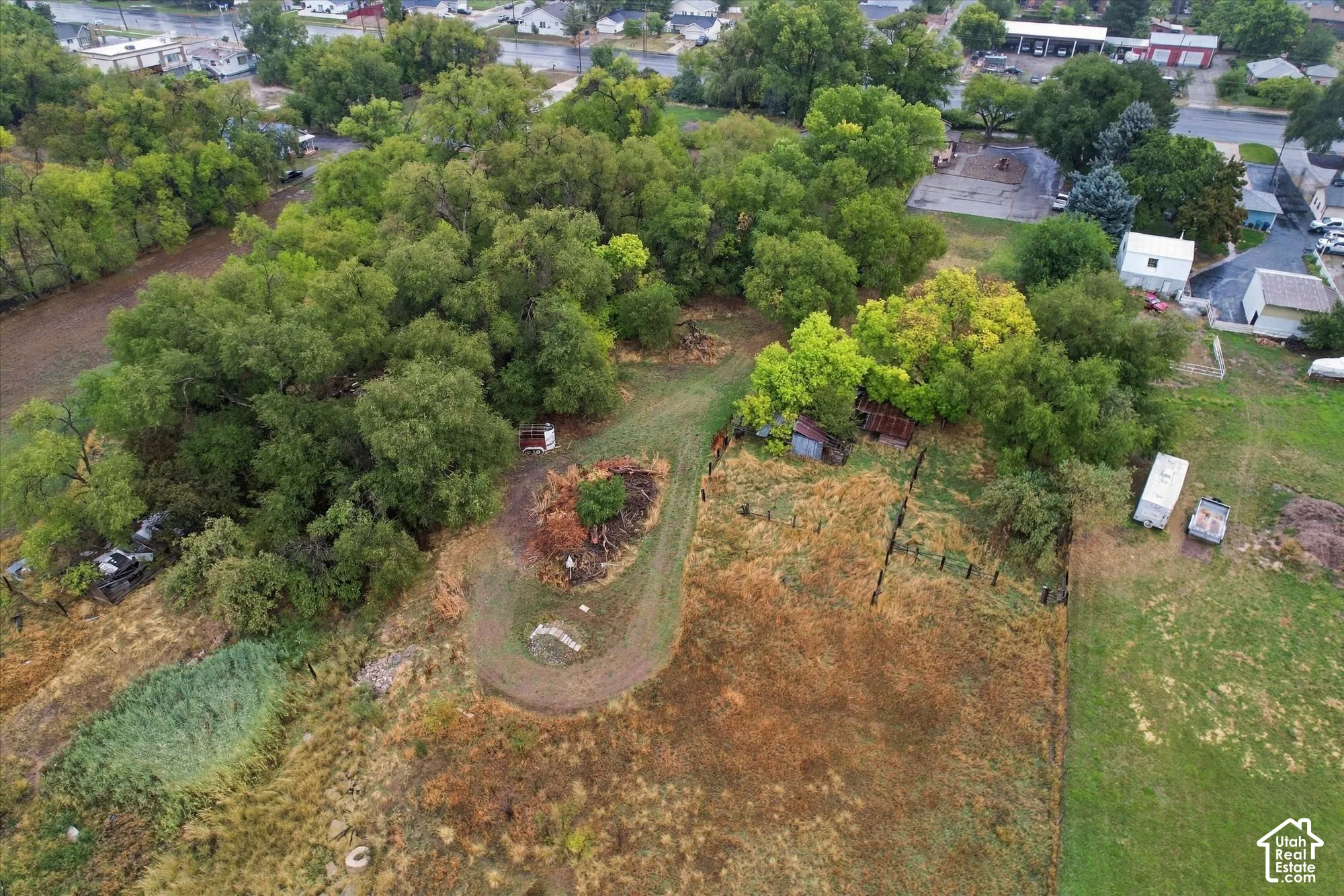 Expansive lot featuring mature trees, natural vegetation, and a winding dirt pathway