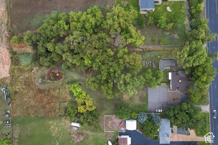 Aerial view of the expansive lot featuring mature tree canopy, asphalt driveway, and paved parking area