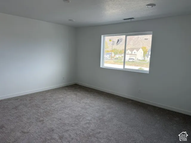 Neutral-toned carpeting, recessed ceiling lighting, and a large slider window