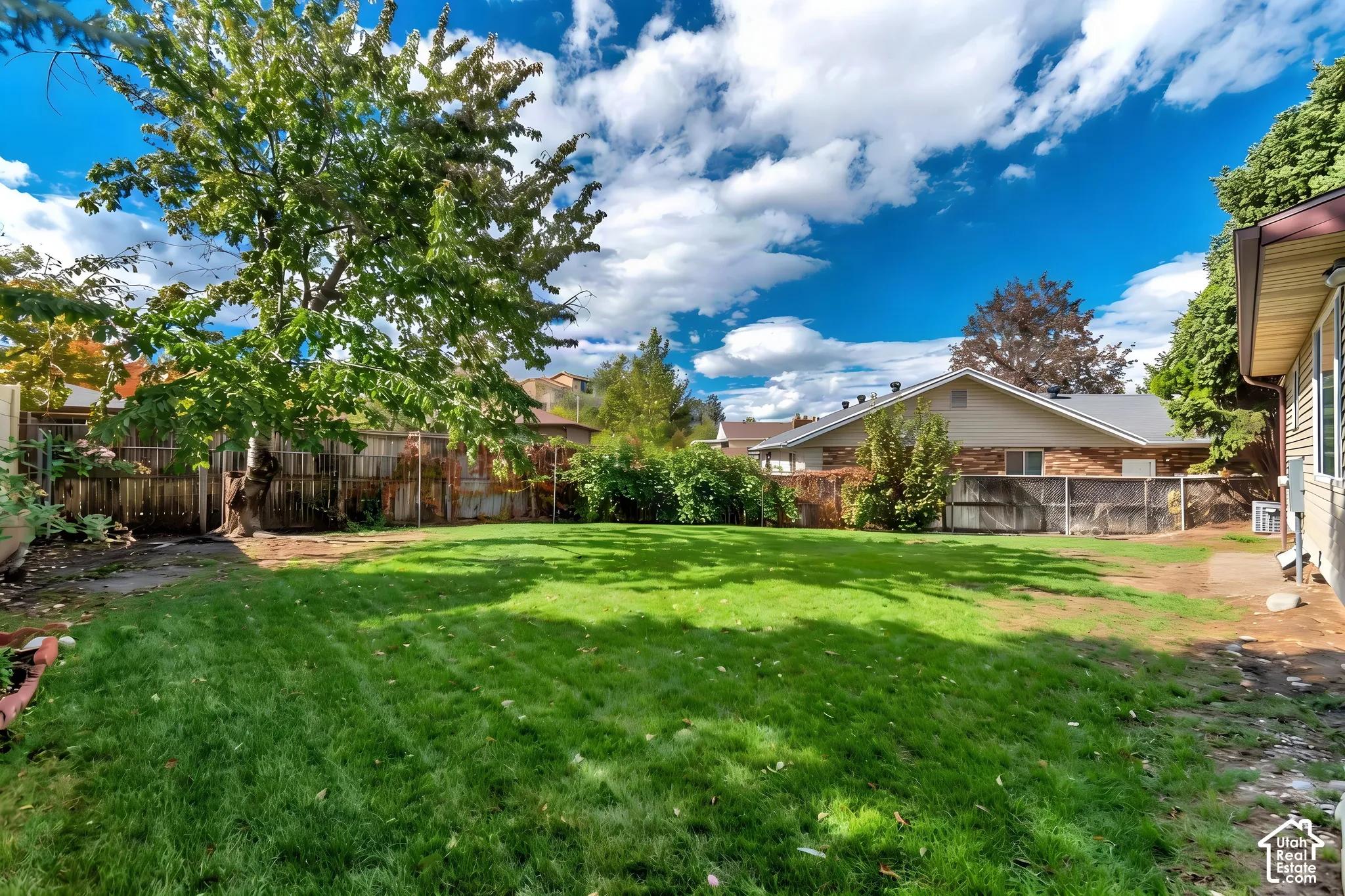 Expansive backyard featuring a large grass lawn, mature trees, wood privacy fencing, and exterior house siding