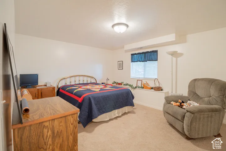Neutral-toned interior space featuring wall-to-wall carpeting, a recessed window ledge, and a ceiling-mounted light fixture