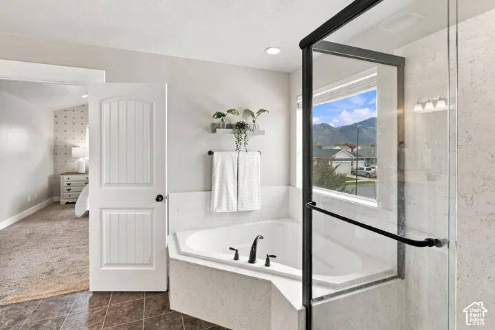 1243 W 170 S, Spanish Fork, Utah 84660