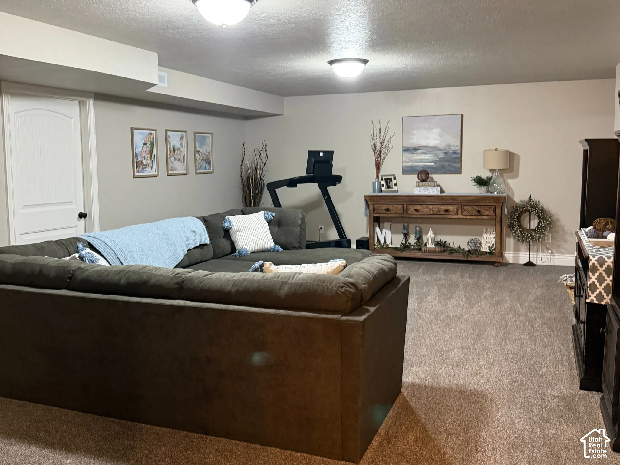 Spacious family room featuring neutral carpeting, two flush-mount ceiling light fixtures, and a six-panel interior door