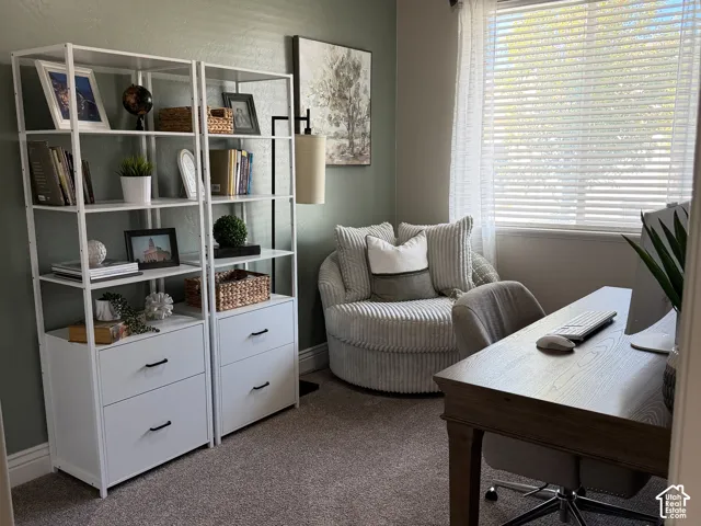Room featuring neutral wall-to-wall carpeting and a sage green accent wall with a window providing natural light