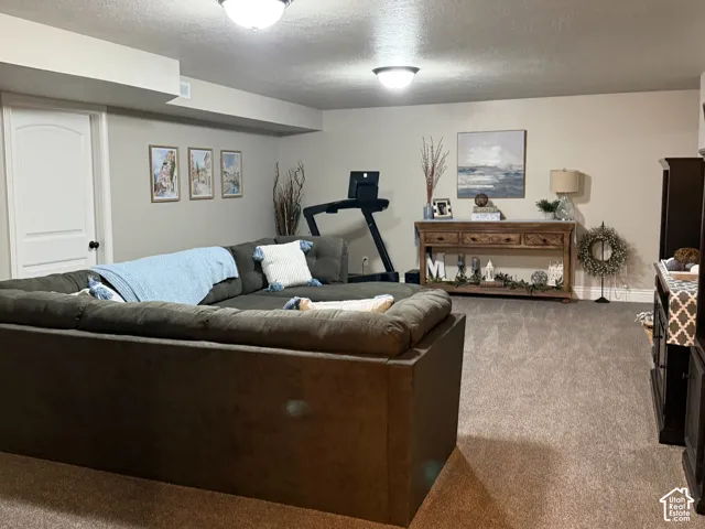 Spacious family room featuring neutral carpeting, two flush-mount ceiling light fixtures, and a six-panel interior door