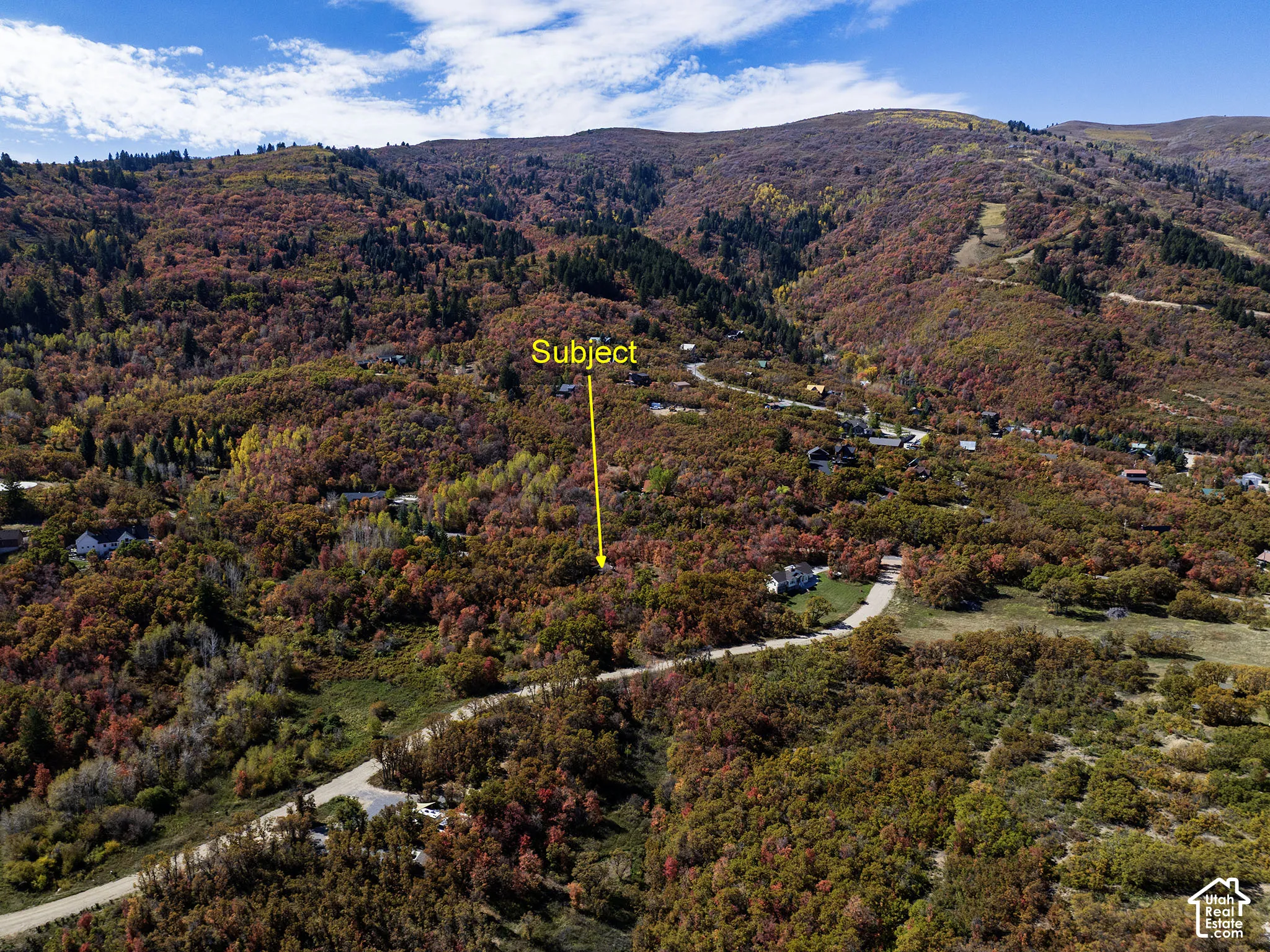 Elevated parcel featuring dense mountain foliage, mature trees, and direct access to paved road infrastructure