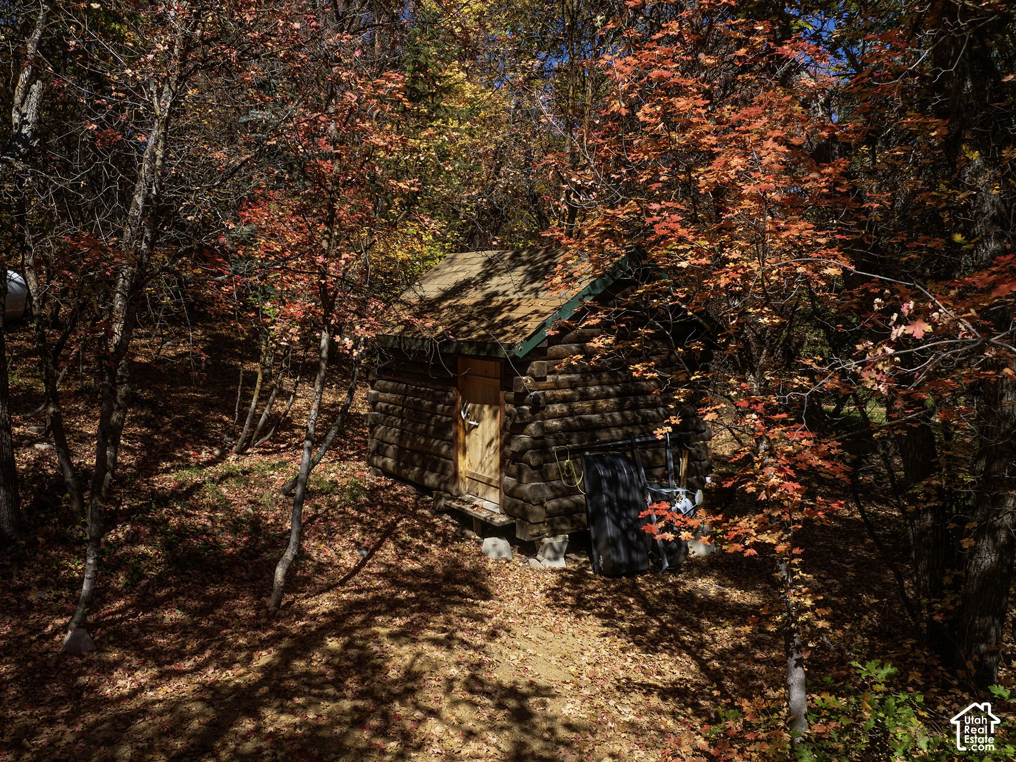 Rustic log cabin featuring stacked-timber construction, an asphalt shingle roof, and a wood-paneled door, situated within a wooded landscape