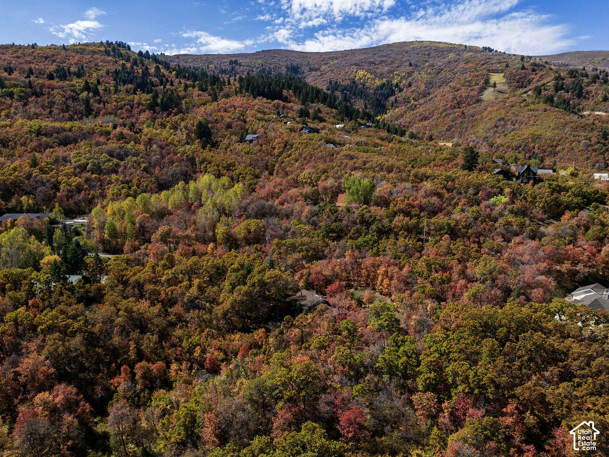Aerial perspective of a wooded landscape featuring mature deciduous and coniferous trees, undulating mountain topography, and natural autumn foliage