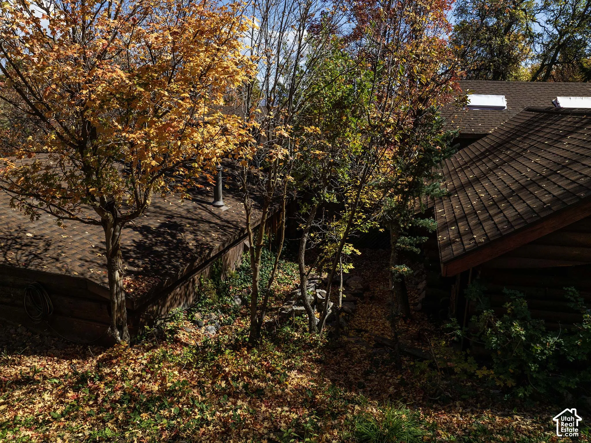 Log-exterior construction featuring shingle roofing, skylights, and mature deciduous trees