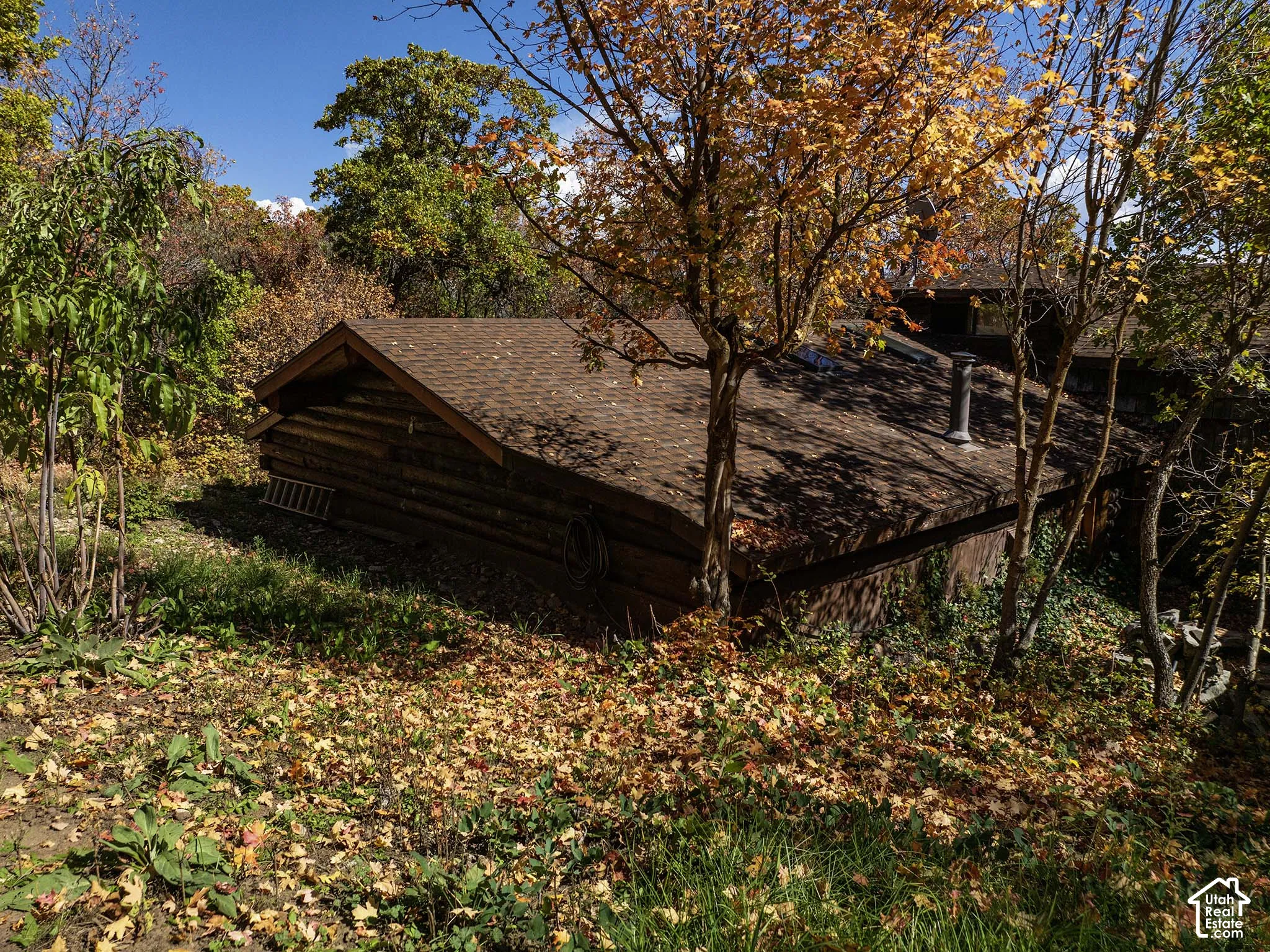 Log exterior construction featuring a low-slope roof, metal chimney, and integrated skylights, surrounded by mature deciduous trees