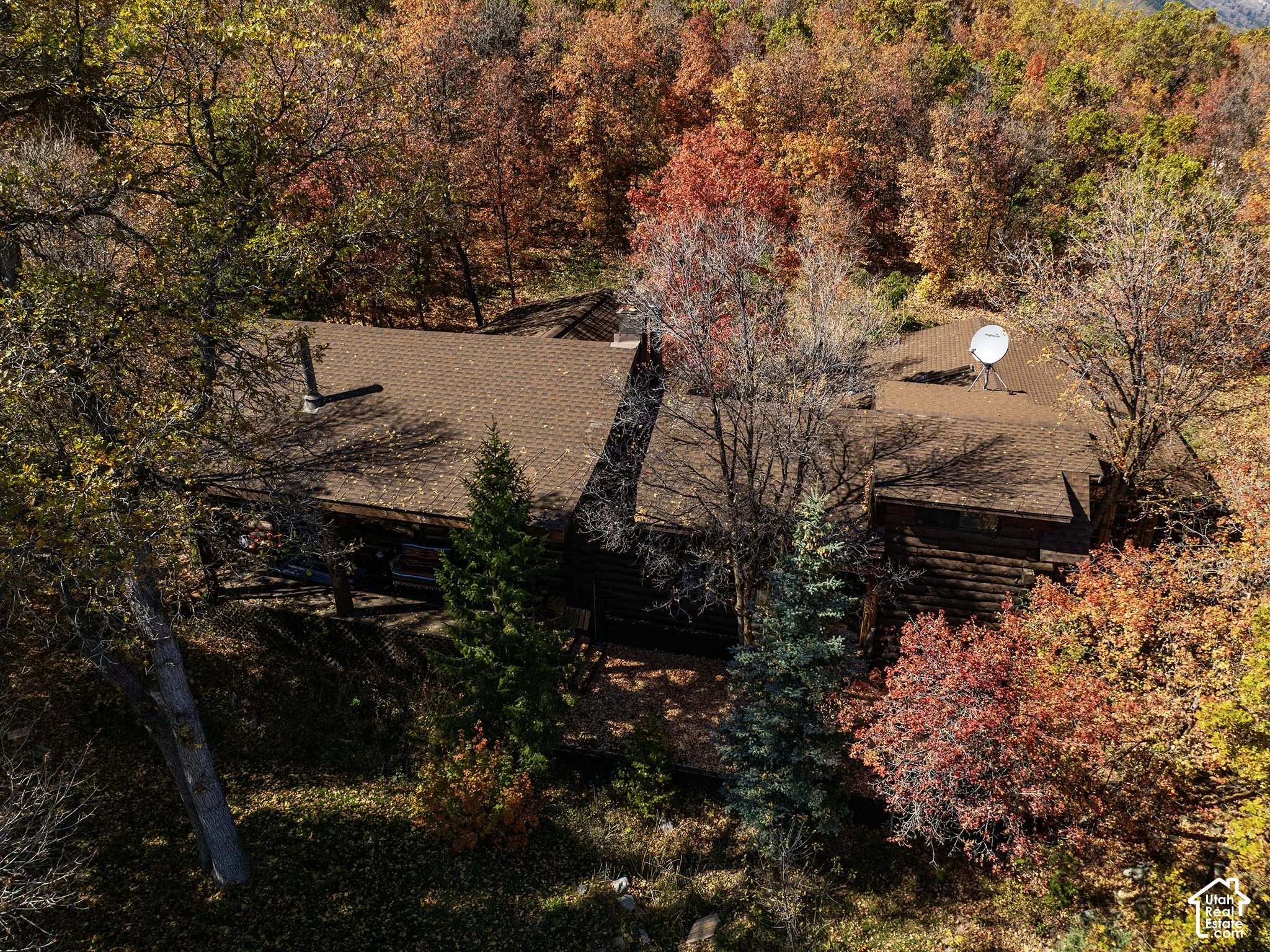 Log cabin exterior featuring a multi-pitched shingle roof and dense, mature woodland surroundings