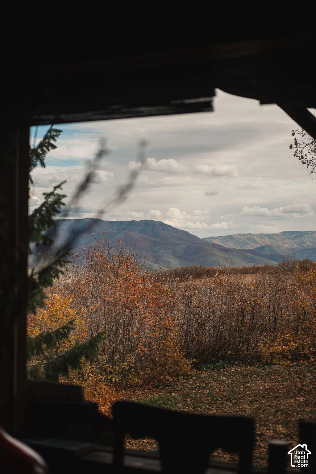 Mountain range landscape featuring mature trees and brush, framed by structural overhead timber framing