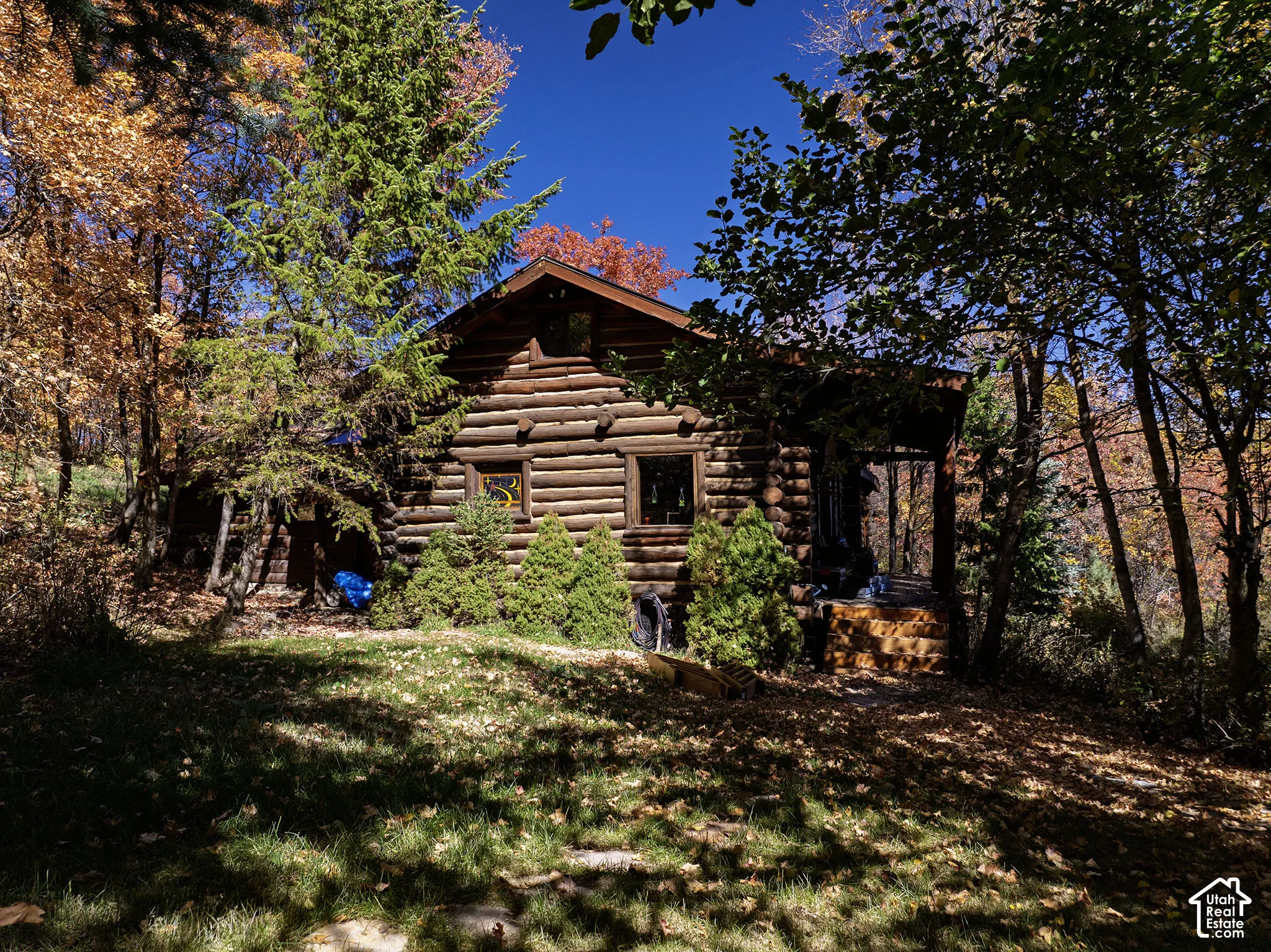 Log cabin exterior featuring horizontal timber construction, a gabled roof, an attached porch, and mature deciduous and coniferous trees