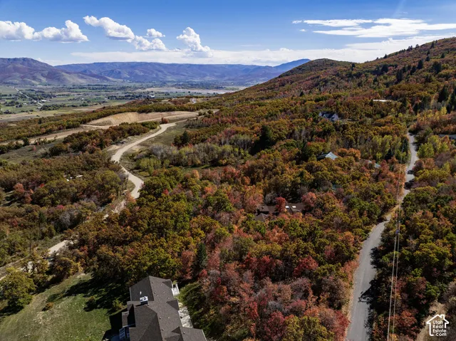 Aerial perspective featuring expansive mountainous terrain, mature deciduous forest, and paved roadway access