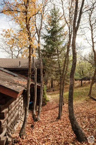 Log exterior siding featuring a composite shingle roof, integrated skylight, and mature evergreen and deciduous tree landscaping