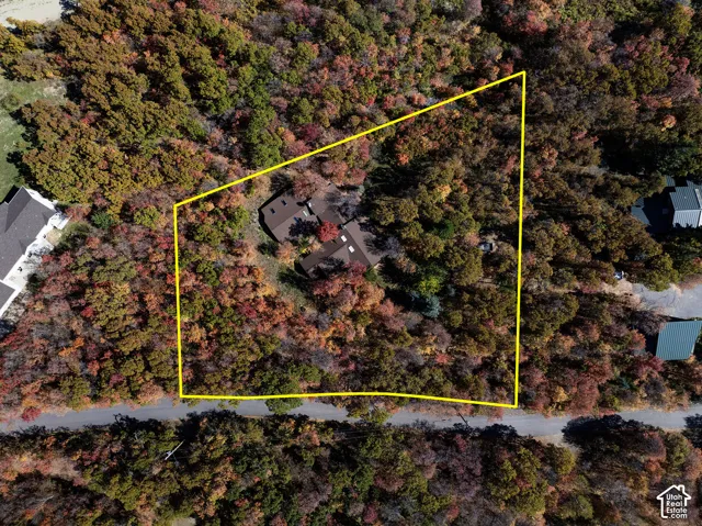 Aerial perspective of a large, irregularly shaped lot featuring dense mature forest canopy and a multi-section roofline structure