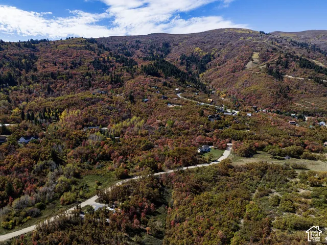 Aerial perspective featuring extensive mountainous terrain, dense deciduous foliage, and paved winding access roads