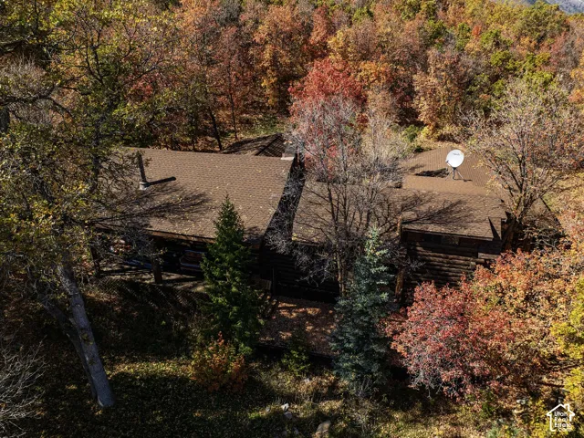 Log cabin exterior featuring a multi-pitched shingle roof and dense, mature woodland surroundings
