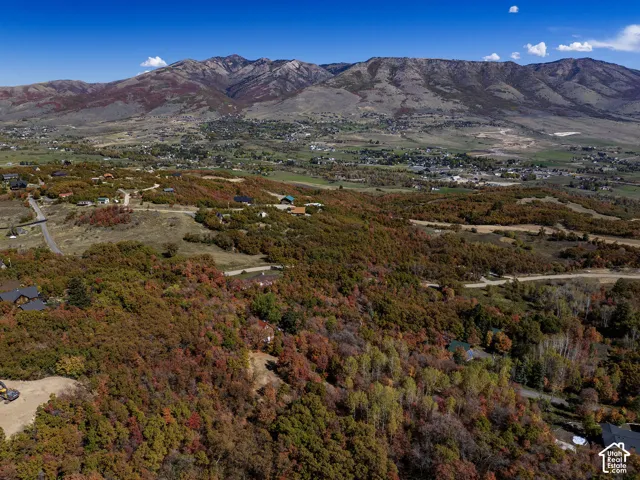 Elevated aerial perspective featuring expansive mountain range topography and dense woodland foliage
