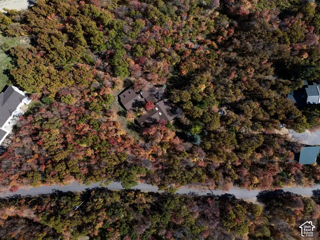 Aerial perspective featuring a multi-section structure with a pitched roof, situated within a dense expanse of mature deciduous trees and paved access