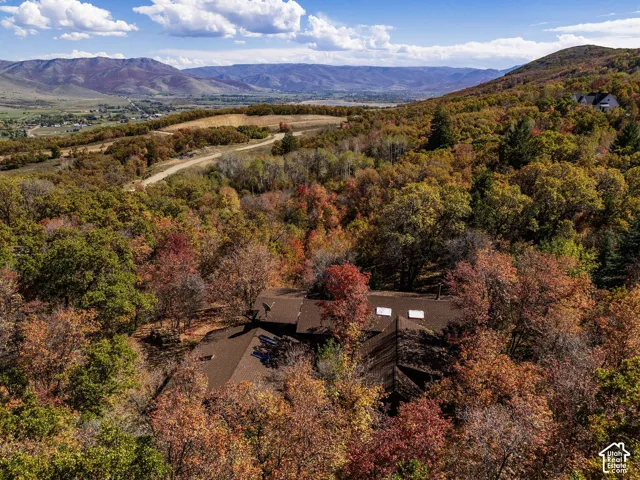 Multi-gabled roofline with dual skylights, nestled within a densely wooded landscape featuring mountain and valley terrain
