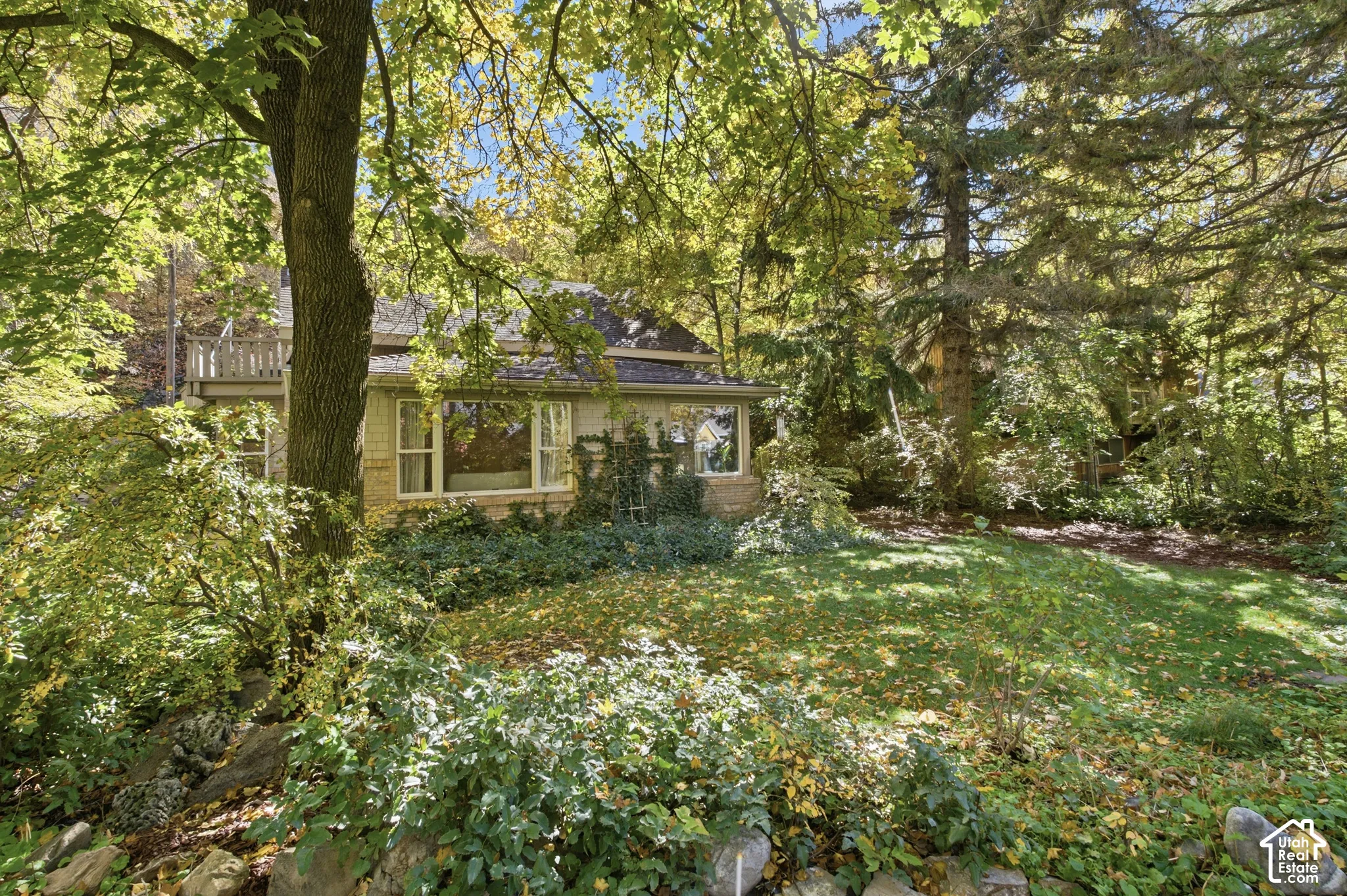 Exterior with established landscaping