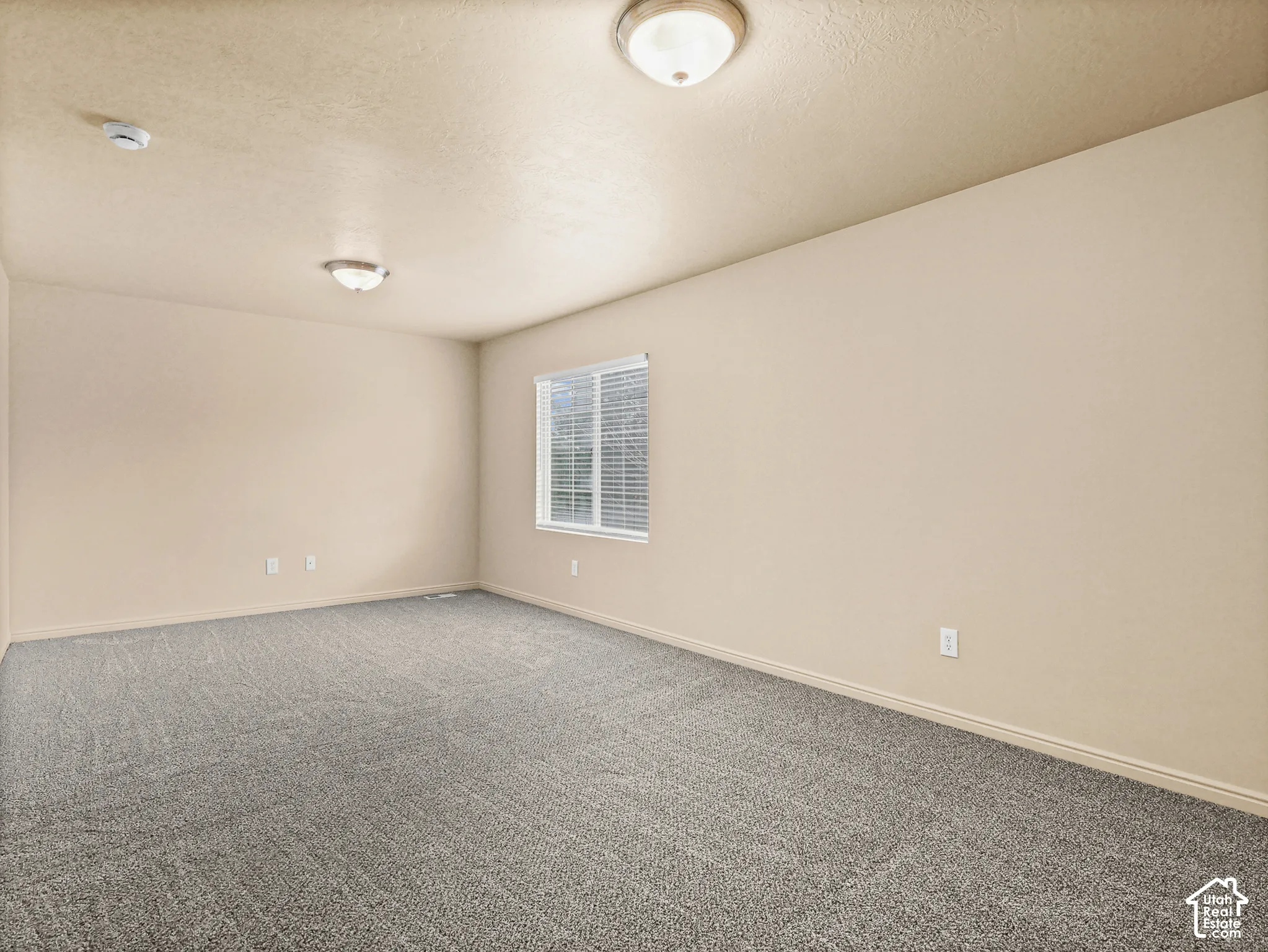 Neutral-toned carpet flooring, smooth wall finish, dual flush-mount ceiling light fixtures, and a single-pane window with integrated blinds
