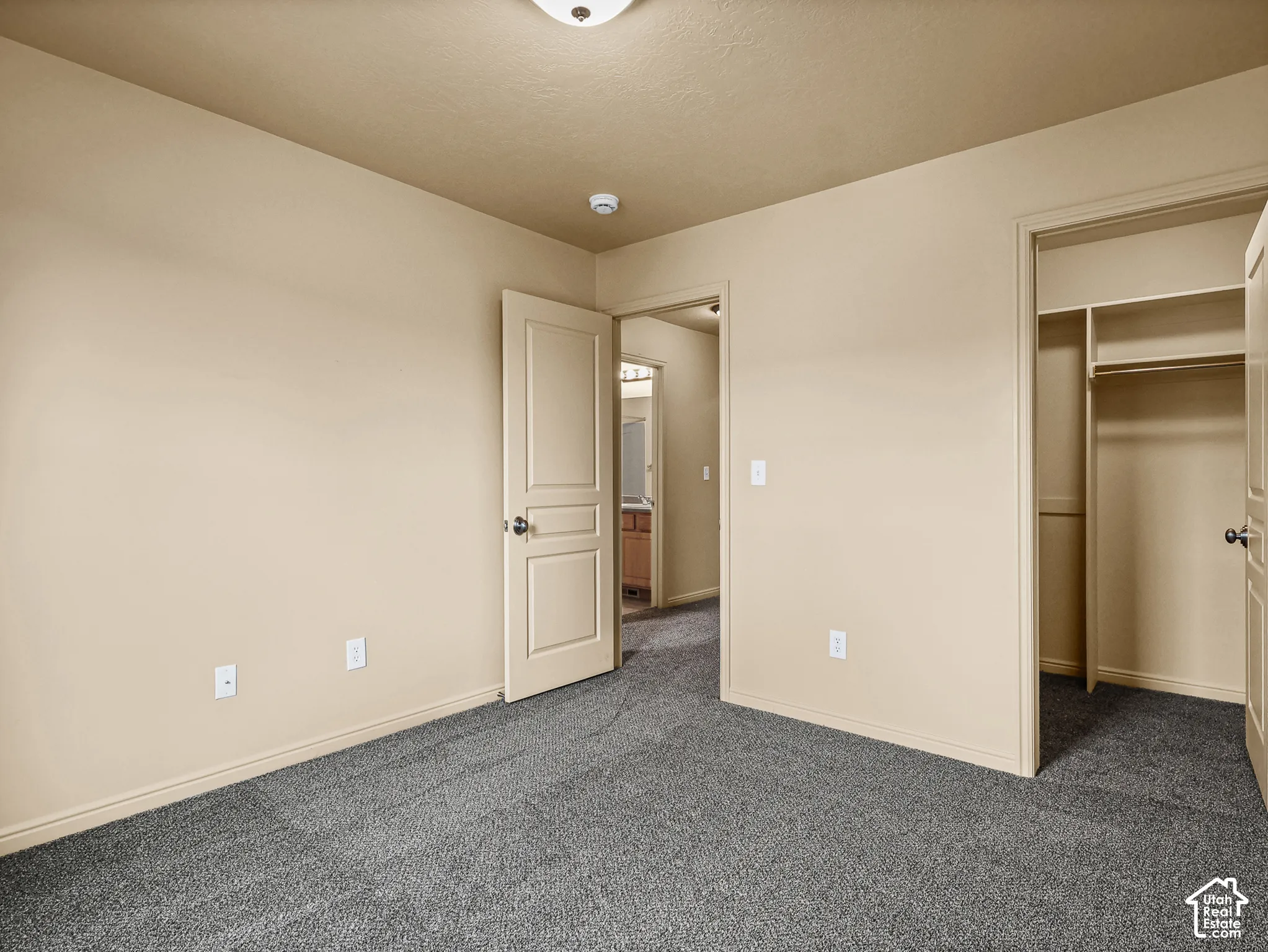 Neutral-toned interior featuring wall-to-wall carpeting, paneled interior doors, and a walk-in closet with built-in shelving
