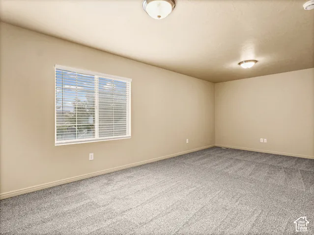 Neutral-toned interior space featuring neutral carpeting, two flush-mount ceiling light fixtures, and a dual-pane window with horizontal blinds