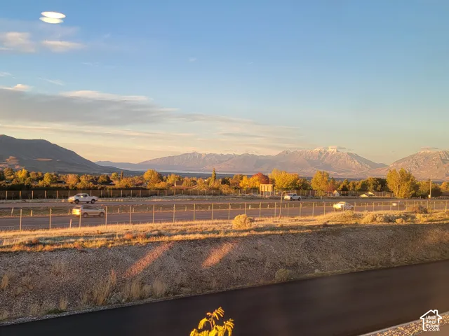 Panoramic mountain scenery with expansive horizon and mature trees