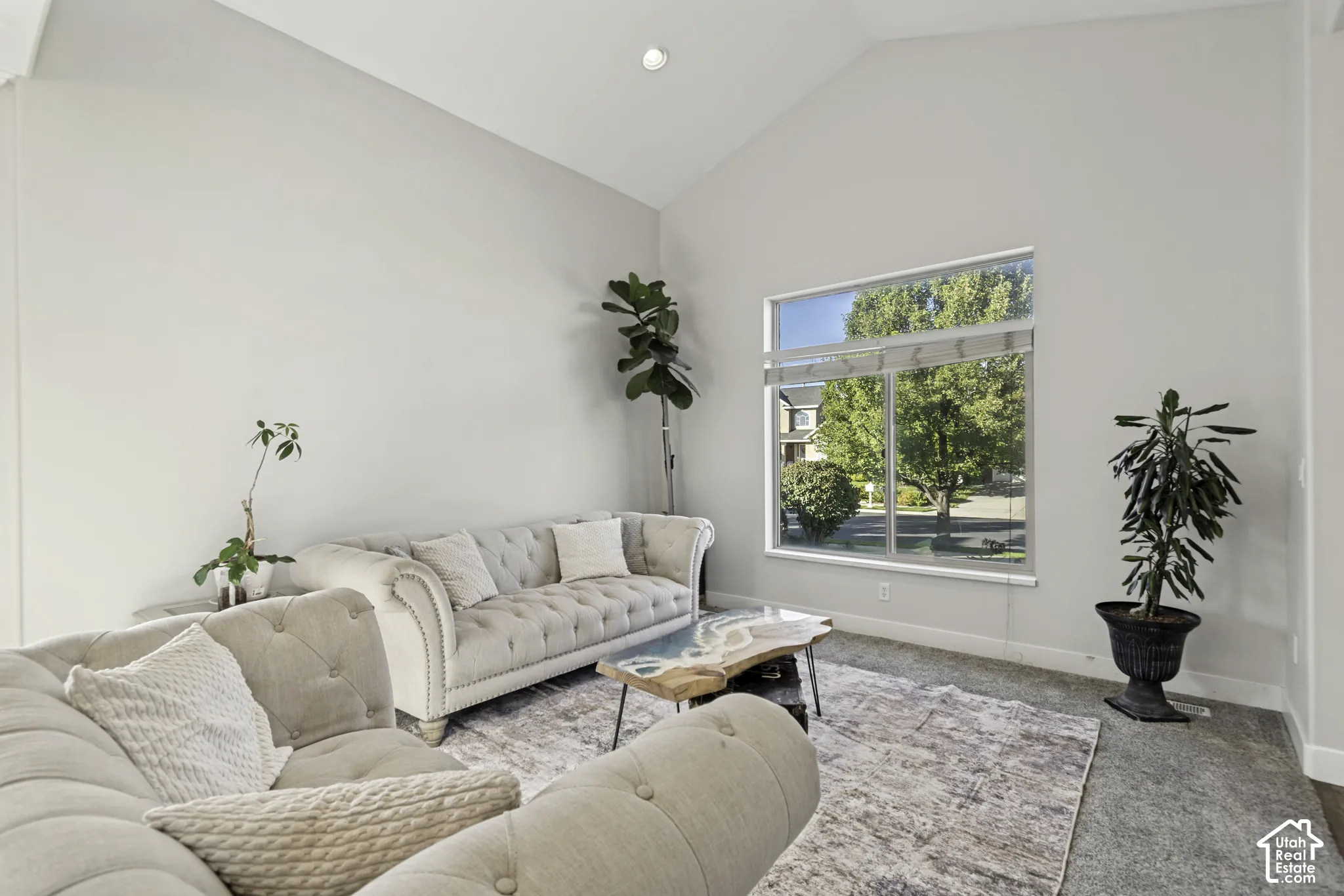 Vaulted ceiling, neutral wall tones, large window, and wall-to-wall carpeting