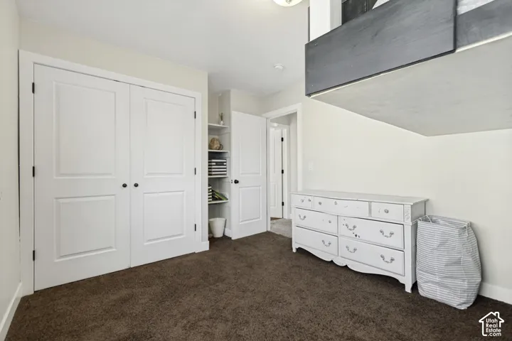 Double-door closet with recessed panels, neutral wall-to-wall carpeting, built-in recessed shelving, and a raised structural loft platform with a dark-finish wood frame