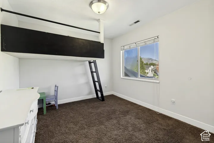 Built-in elevated sleeping platform with integrated ladder, plush carpeting, ceiling-mounted light fixture, and horizontal sliding window with mountain scenery