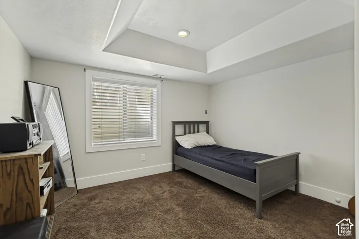 Tray ceiling with recessed lighting and neutral wall finishes, complemented by plush carpeting and a window featuring horizontal blinds