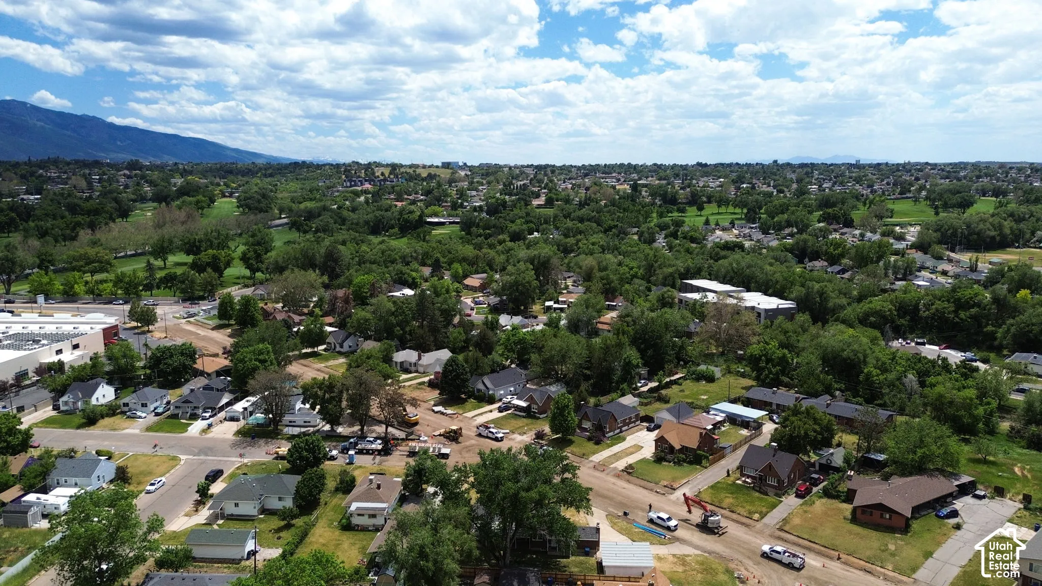 Aerial perspective highlighting established tree canopy and mountain backdrop