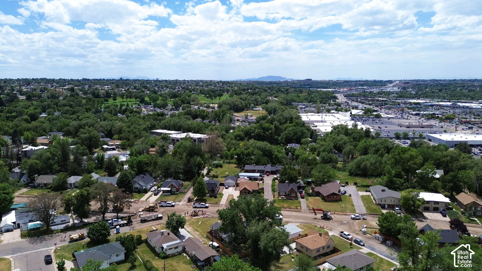 Aerial perspective of residential neighborhood featuring mature trees, expansive greenery, and distant mountain horizon
