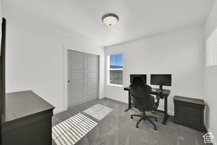 Neutral interior featuring grey carpeting, grey five-panel closet doors with white millwork trim, a single-pane window with horizontal blinds, and a flush-mount ceiling light fixture