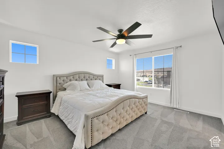 Neutral-toned carpeting, multi-pane windows with window treatments, and a matte black ceiling fan with integrated lighting