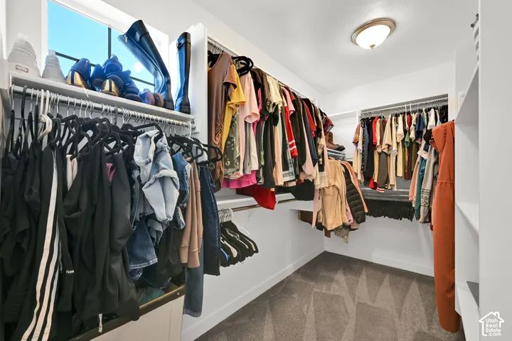 Walk-in closet featuring tiered clothing rods, integrated upper shelving, carpeted flooring, and a window with natural light