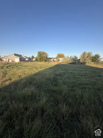 Expansive parcel featuring open meadow terrain, mature trees, and an auxiliary metal-sided structure