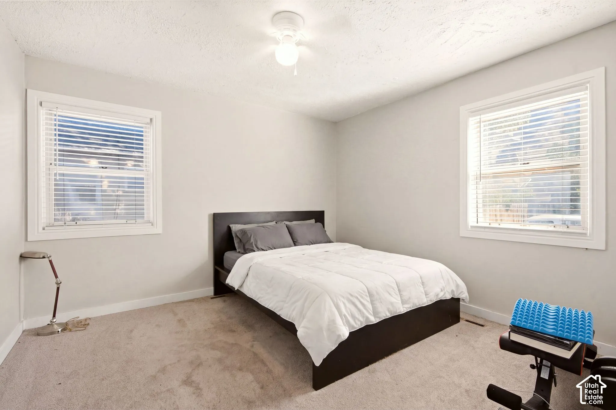 Neutral wall tones, carpeting, and dual windows with horizontal blinds