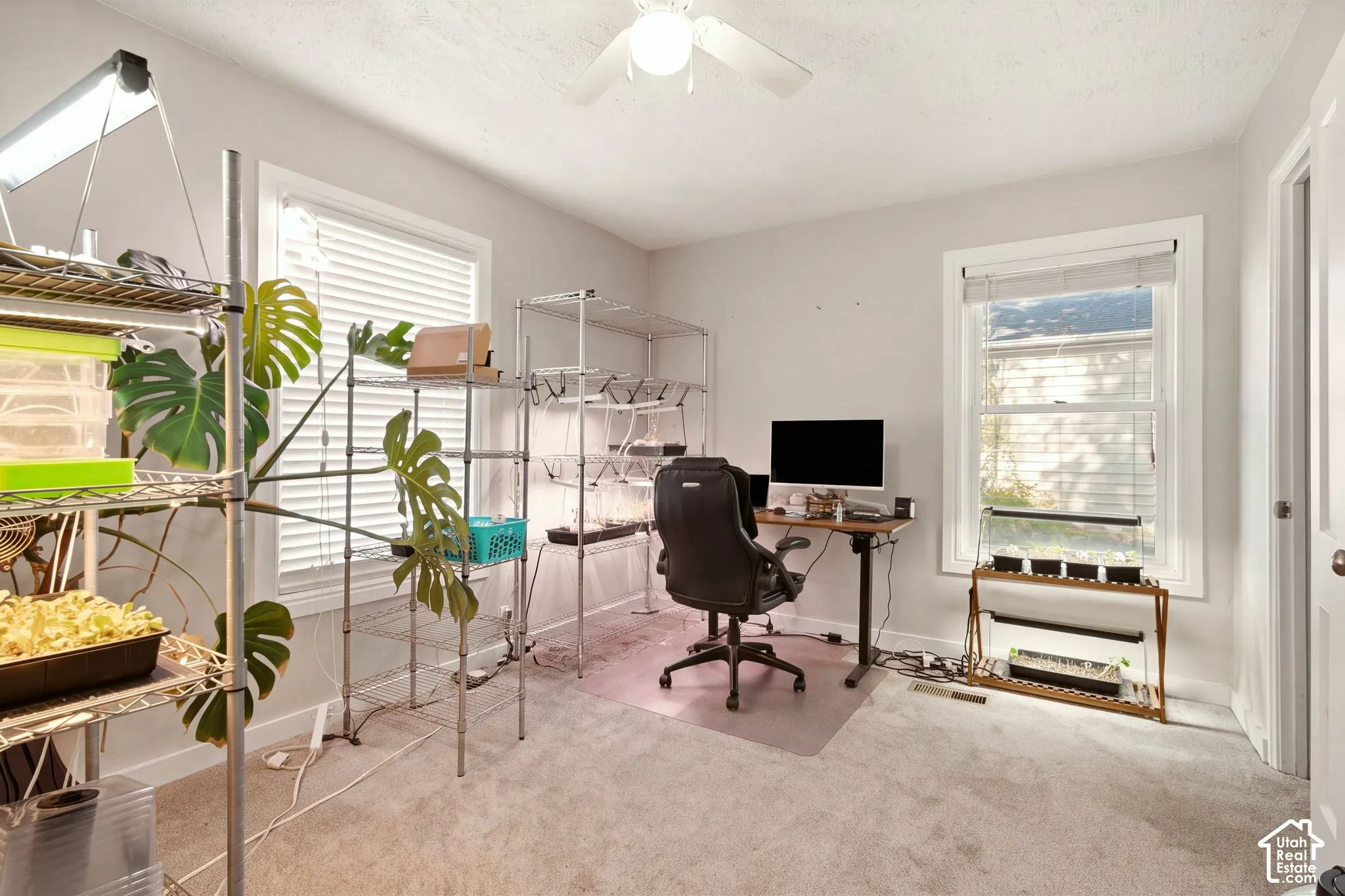 Neutral-toned room featuring wall-to-wall carpeting, two double-pane windows with horizontal blinds, and a white ceiling fan with integrated lighting