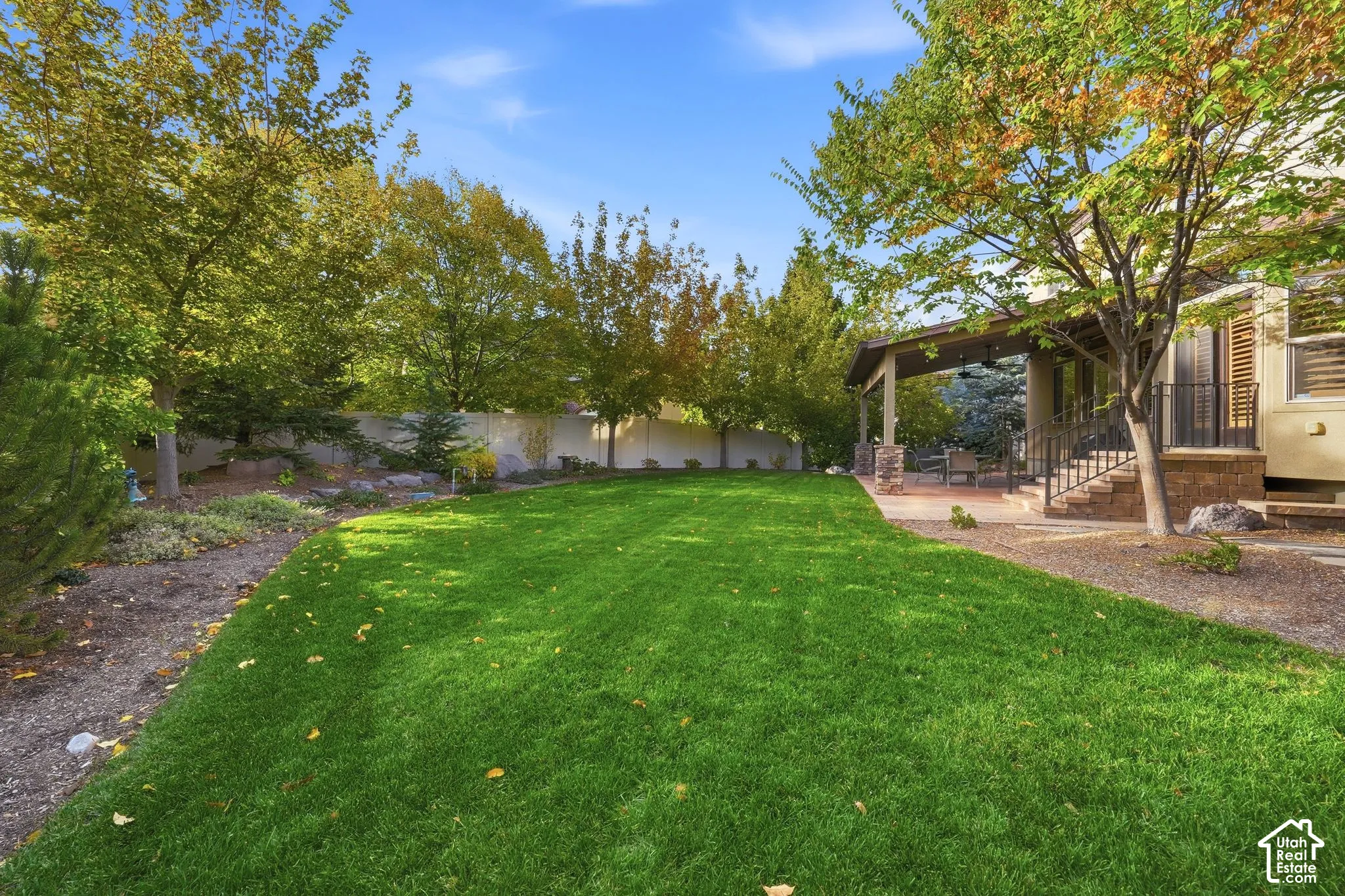 Expansive backyard featuring a manicured lawn, covered stone patio, mature perimeter trees, and a privacy wall