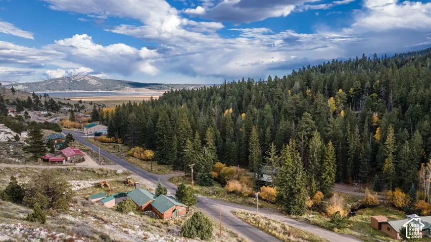 Aerial perspective of a mountain landscape featuring dense coniferous forest, deciduous trees, expansive valley scenery, and a prominent water feature in the distance
