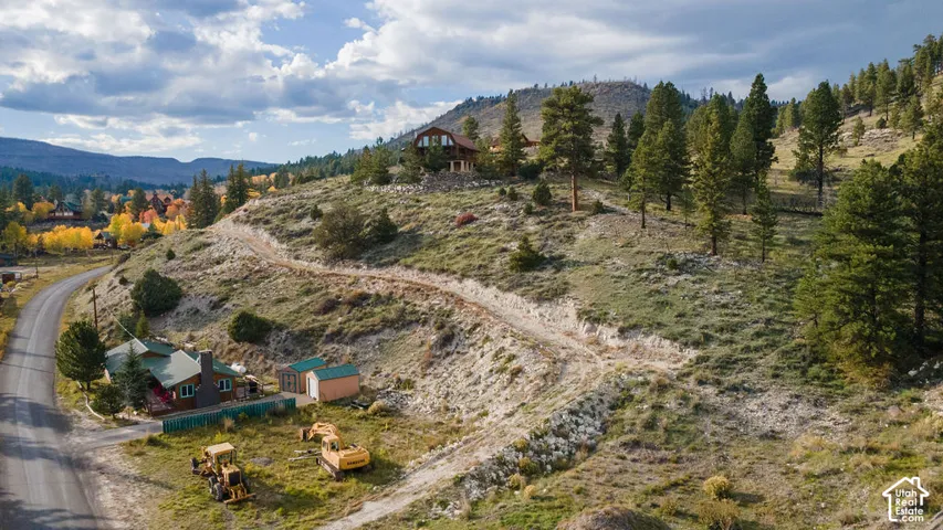 Expansive rolling natural terrain, established coniferous trees, and a mountain backdrop