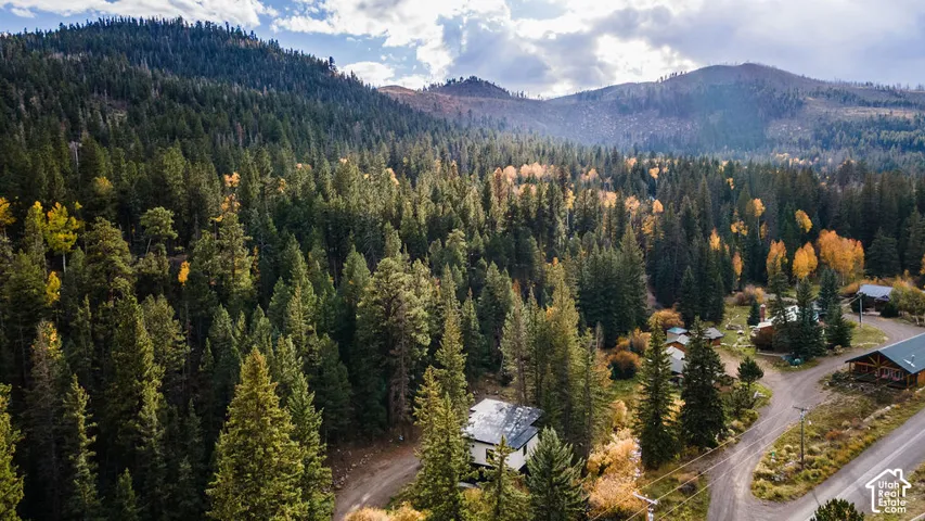 Aerial perspective featuring a mountainous landscape with dense evergreen and deciduous forest terrain and gravel access roads
