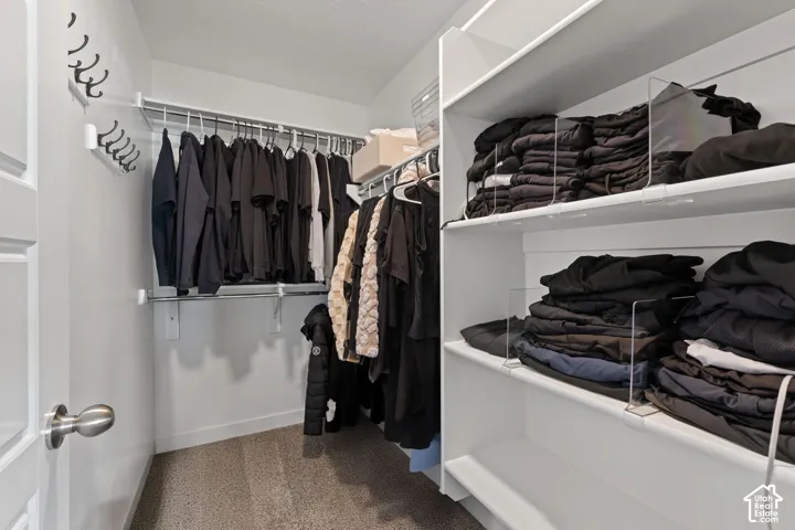 Walk-in closet featuring floor-to-ceiling white shelving, integrated clothing rods, wall-mounted hook hardware, and carpeted flooring