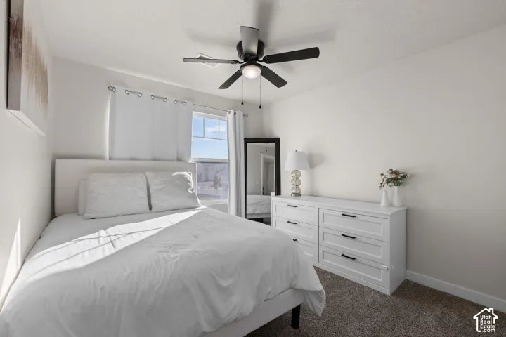 Neutral-toned interior featuring wall-to-wall carpet, a single-hung window with a multi-pane upper sash, and a ceiling-mounted fan with integrated light